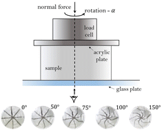 Graphical abstract: Torsion-induced stick-slip phenomena in the delamination of soft adhesives