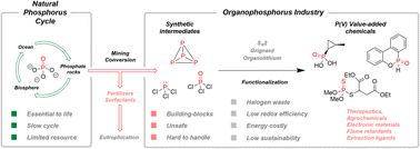 Graphical abstract: From rocks to bioactive compounds: a journey through the global P(v) organophosphorus industry and its sustainability