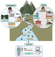 Graphical abstract: Devising a people-friendly test kit for overcoming challenges in the assessment of water quality and analysis of water pollution in the river Ganga