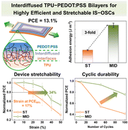 Graphical abstract: Interdiffused thermoplastic urethane-PEDOT:PSS bilayers with superior adhesion properties for high-performance and intrinsically-stretchable organic solar cells