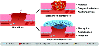 Graphical abstract: Hemostatic biomaterials to halt non-compressible hemorrhage