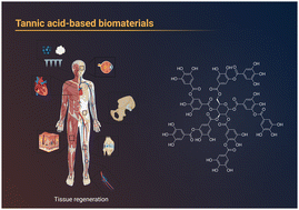 Graphical abstract: Tannic acid: a versatile polyphenol for design of biomedical hydrogels
