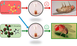 Graphical abstract: Protective effect of the newly synthesized and characterized charge transfer (CT) complex against arecoline induced toxicity in third-instar larvae of transgenic Drosophila melanogaster (hsp70-lacZ)Bg9: experimental and theoretical mechanistic insights