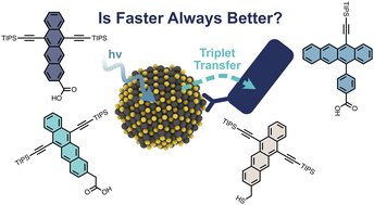 Graphical abstract: Triplet transfer from PbS quantum dots to tetracene ligands: is faster always better?
