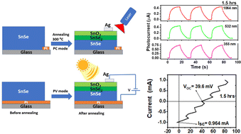 Graphical abstract: Exploring the optoelectronic properties of SnSe: a new insight