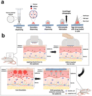Graphical abstract: Egg microneedles for transdermal vaccination of inactivated influenza virus