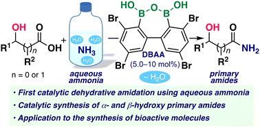 Graphical abstract: Catalytic dehydrative amide bond formation using aqueous ammonia: synthesis of primary amides utilizing diboronic acid anhydride catalysis