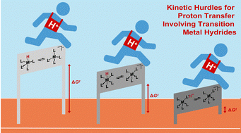 Graphical abstract: Proton transfer kinetics of transition metal hydride complexes and implications for fuel-forming reactions