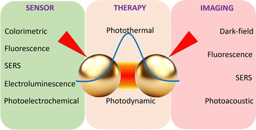 Graphical abstract: Plasmonic silver and gold nanoparticles: shape- and structure-modulated plasmonic functionality for point-of-caring sensing, bio-imaging and medical therapy