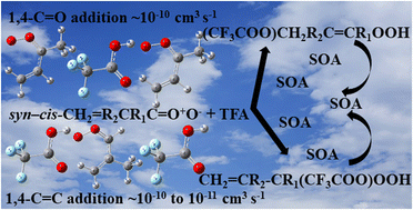 Graphical abstract: New insights into the mechanism and kinetics of the addition reaction of unsaturated Criegee intermediates to CF3COOH and tropospheric implications