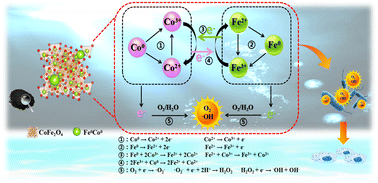 Graphical abstract: An electron-donating system composed of a CIDS@CFO@F0C0 catalyst for the sustainable generation of free radicals to inactivate pathogens