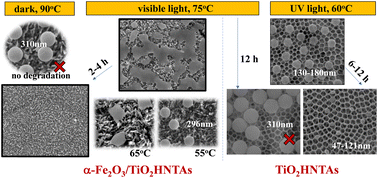 Graphical abstract: A novel route for microplastic mineralization: visible-light-driven heterogeneous photocatalysis and photothermal Fenton-like reaction