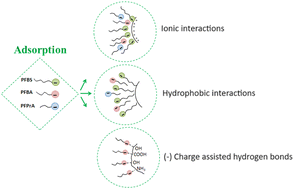 Graphical abstract: Adsorption mechanisms of short-chain and ultrashort-chain PFAS on anion exchange resins and activated carbon