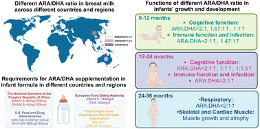 Graphical abstract: Dietary intake of different ratios of ARA/DHA in early stages and its impact on infant development