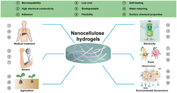 Graphical abstract: When nanocellulose meets hydrogels: the exciting story of nanocellulose hydrogels taking flight