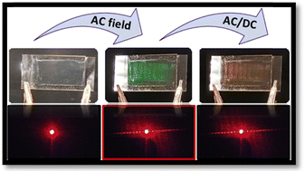 Graphical abstract: Anti-counterfeiting holographic liquid crystal gels with color and pattern control