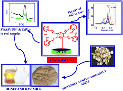 Graphical abstract: Determination of Pb2+ and Cd2+ ions in raw milk, honey and groundnut shell using TSAB/MWCNT