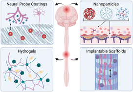 Graphical abstract: Biomaterial strategies for regulating the neuroinflammatory response