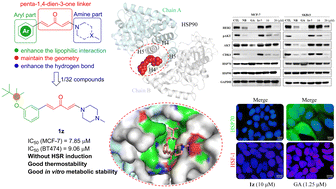 Graphical abstract: A silicon-containing aryl/penta-1,4-dien-3-one/amine hybrid exhibits antiproliferative effects on breast cancer cells by targeting the HSP90 C-terminus without inducing heat-shock response