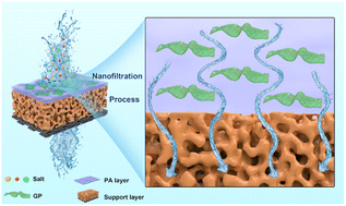 Graphical abstract: Regulating the thickness of nanofiltration membranes for efficient water purification
