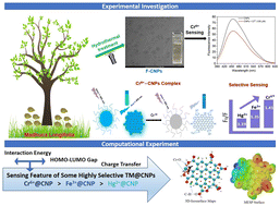 Graphical abstract: Development of fluorescent carbon nanoparticles from Madhuca longifolia flower for the sensitive and selective detection of Cr6+: a collective experimental–computational approach