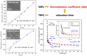 Graphical abstract: Study of the mechanisms of the phonon bottleneck effect in CdSe/CdS core/shell quantum dots and nanoplatelets and their application in hot carrier multi-junction solar cells