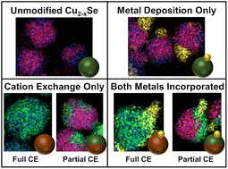 Graphical abstract: Multimetallic post-synthetic modifications of copper selenide nanoparticles