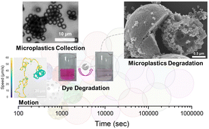 Graphical abstract: Combining photocatalytic collection and degradation of microplastics using self-asymmetric Pac-Man TiO2