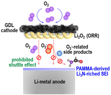 Graphical abstract: Protecting Li-metal in O2 atmosphere by a sacrificial polymer additive in Li–O2 batteries