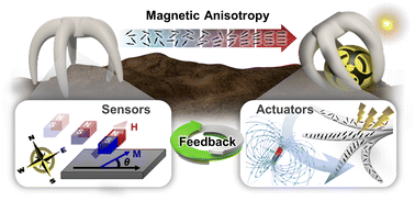 Graphical abstract: Anisotropy in magnetic materials for sensors and actuators in soft robotic systems