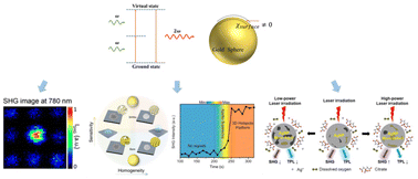 Graphical abstract: Plasmon-enhanced second harmonic generation of metal nanostructures