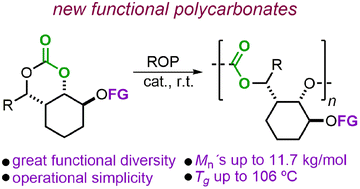 Graphical abstract: Ring-opening polymerization of functionalized aliphatic bicyclic carbonates