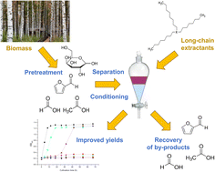 Graphical abstract: Conditioning of pretreated birch by liquid–liquid organic extractions to improve yeast fermentability and enzymatic digestibility
