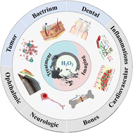 Graphical abstract: Recent theranostic applications of hydrogen peroxide-responsive nanomaterials for multiple diseases
