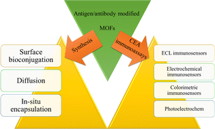 Graphical abstract: Recent advancements in the specific determination of carcinoembryonic antigens using MOF-based immunosensors