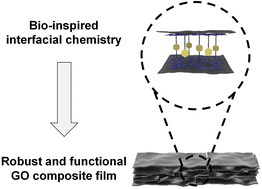 Graphical abstract: Bio-inspired interfacial chemistry for the fabrication of a robust and functional graphene oxide composite film