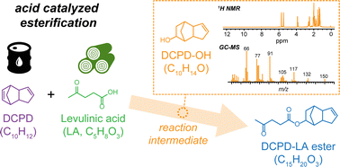 Graphical abstract: Solid acid catalyzed esterification of dicyclopentadiene with organic acids to bio-based functional monomers