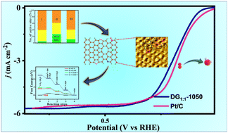 Graphical abstract: Elucidating the oxygen reduction reaction kinetics on defect engineered nanocarbon electrocatalyst: interplay between the N-dopant and defect sites