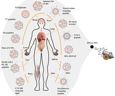 Graphical abstract: Next-generation materials for RNA–lipid nanoparticles: lyophilization and targeted transfection