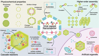 Graphical abstract: Virus-like particles nanoreactors: from catalysis towards bio-applications