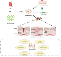 Graphical abstract: 3D printable, injectable amyloid-based composite hydrogel of bovine serum albumin and aloe vera for rapid diabetic wound healing