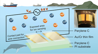 Graphical abstract: Soft, flexible conductivity sensors for ocean salinity monitoring