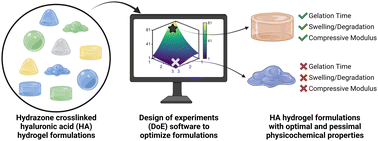 Graphical abstract: Statistical optimization of hydrazone-crosslinked hyaluronic acid hydrogels for protein delivery