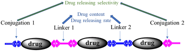 Graphical abstract: Polyprodrugs for tumor chemotherapy: from molecular structure to drug release performance