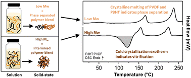 Graphical abstract: Mission immiscible: overcoming the miscibility limit of semiconducting:ferroelectric polymer blends via vitrification