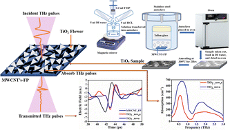Graphical abstract: High-performing TiO2 flower-like nanostructures based on flexible MWCNTs for dual-band terahertz absorption