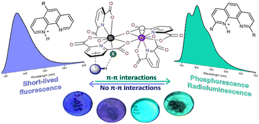 Graphical abstract: Back in bismuth: controlling triplet energy transfer, phosphorescence, and radioluminescence via supramolecular interactions