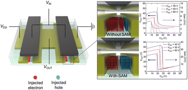 Graphical abstract: Solution-processed ambipolar organic thin-film transistors and inverters in a single substrate through self-assembled monolayer-treated electrodes
