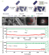 Graphical abstract: 3D hierarchical networks constructed from interlayer-expanded MoS2 nanotubes and rGO as high-rate and ultra-stable anodes for lithium/sodium-ion batteries