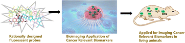 Graphical abstract: Recent progress of organic fluorescent molecules for bioimaging applications: cancer-relevant biomarkers